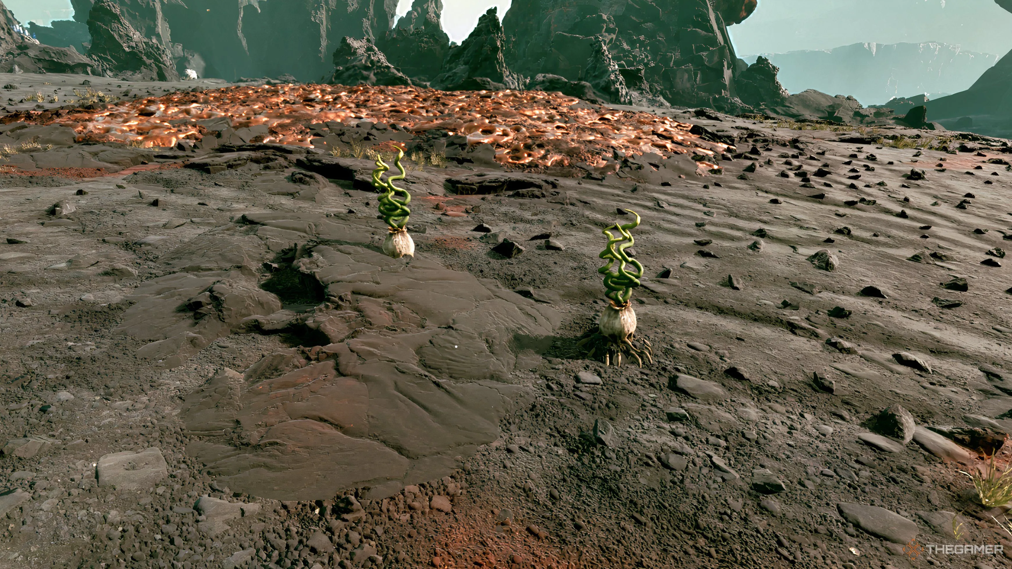 或放弃独占,策略,舅舅党观点,2026FIFA世界杯足球,FIFA世足杯賽程2026,FIFA世界盃足球賽賽程表